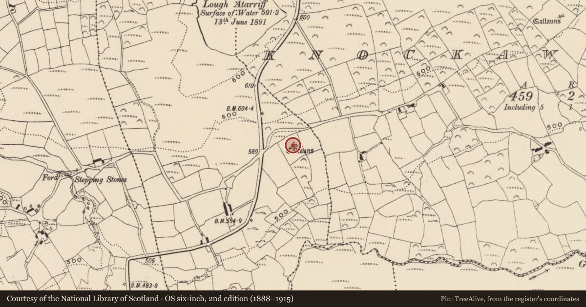 Ordnance Survey six-inch map, 2nd edition (1888–1915) covering the location of Stone circle - five-stone, Lettergorman, County Cork, with a pin at the register's coordinates