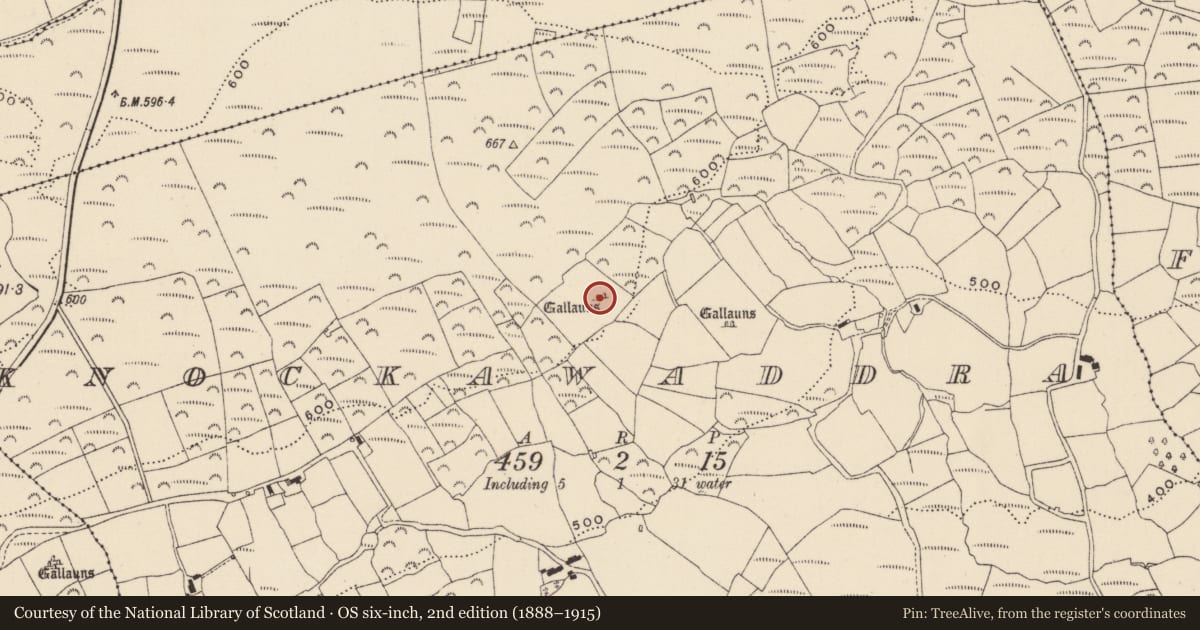 Ordnance Survey six-inch map, 2nd edition (1888–1915) covering the location of Stone row, Knockawaddra, County Cork, with a pin at the register's coordinates