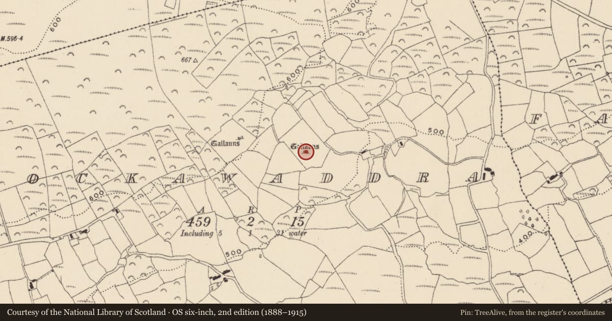 Ordnance Survey six-inch map, 2nd edition (1888–1915) covering the location of Standing stone - pair, Knockawaddra, County Cork, with a pin at the register's coordinates
