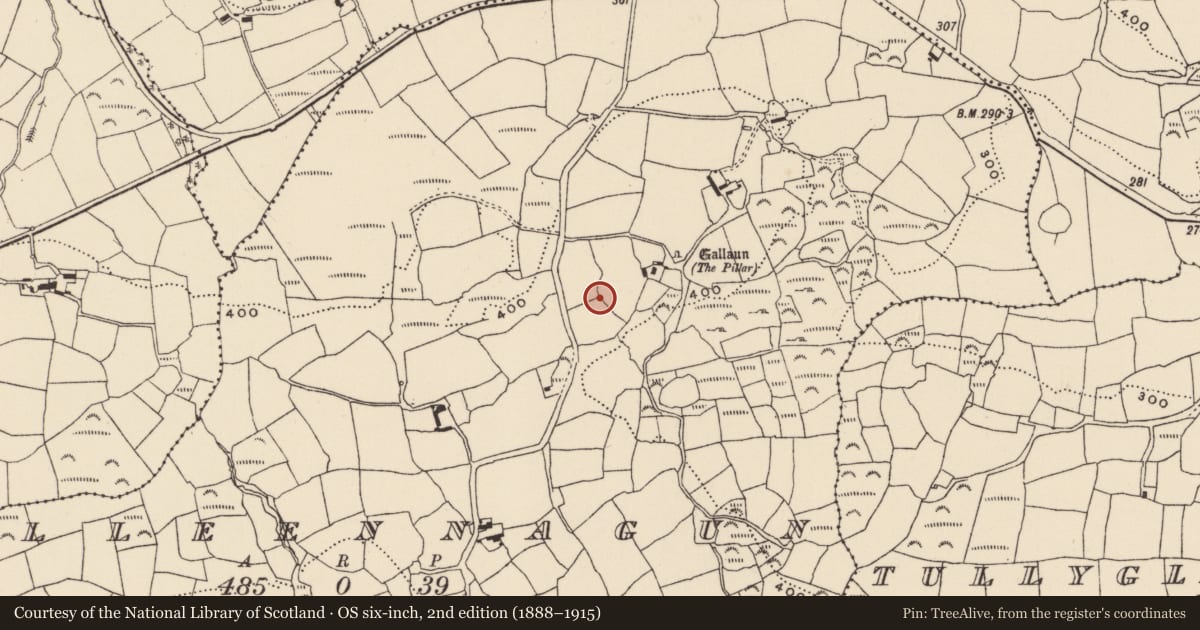 Ordnance Survey six-inch map, 2nd edition (1888–1915) covering the location of Megalithic tomb - wedge tomb, Milleennagun, County Cork, with a pin at the register's coordinates