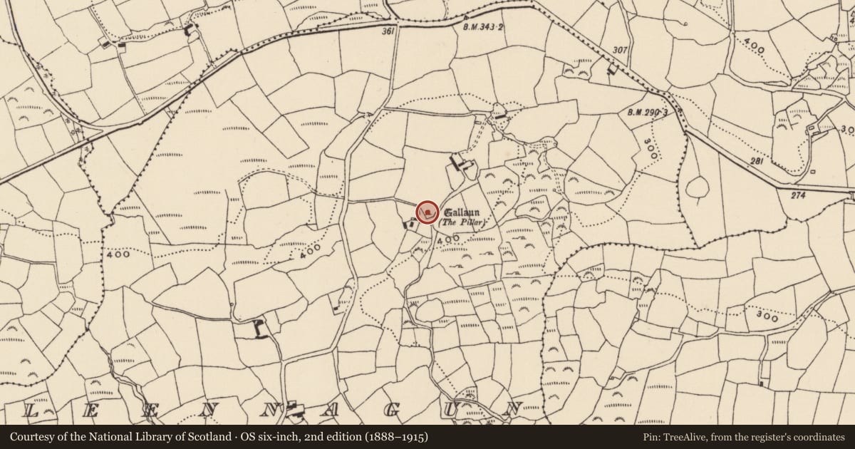 Ordnance Survey six-inch map, 2nd edition (1888–1915) covering the location of Standing stone, Milleennagun, County Cork, with a pin at the register's coordinates