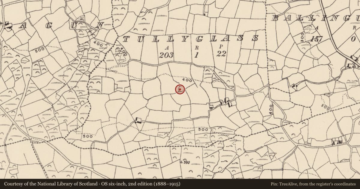 Ordnance Survey six-inch map, 2nd edition (1888–1915) covering the location of Ringfort - cashel, Tullyglass, County Cork, with a pin at the register's coordinates