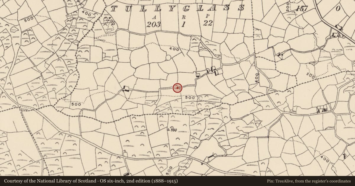 Ordnance Survey six-inch map, 2nd edition (1888–1915) covering the location of Ringfort - rath, Tullyglass, County Cork, with a pin at the register's coordinates