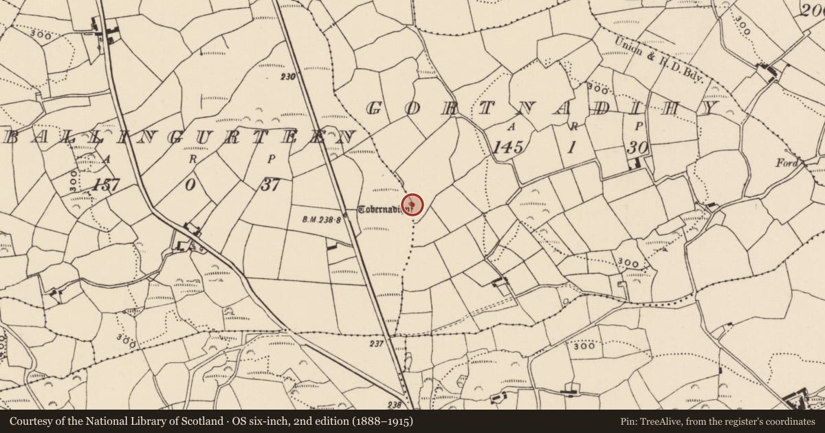 Ordnance Survey six-inch map, 2nd edition (1888–1915) covering the location of Ritual site - holy well, Ballingurteen, County Cork, with a pin at the register's coordinates