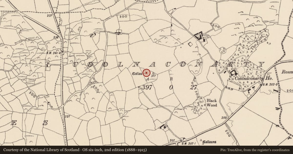 Ordnance Survey six-inch map, 2nd edition (1888–1915) covering the location of Standing stone, Coolnaconarty (Carbery E. (W.D.) By., Kilmeen Par.), County Cork, with a pin at the register's coordinates