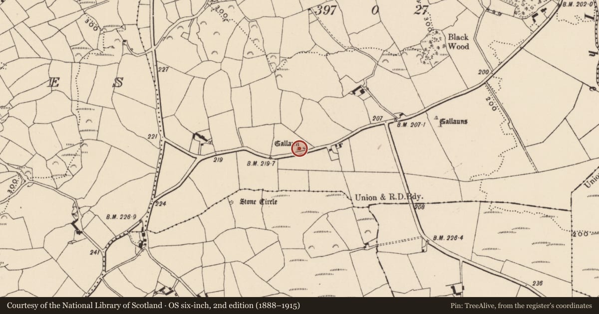 Ordnance Survey six-inch map, 2nd edition (1888–1915) covering the location of Standing stone, Coolnaconarty (Carbery E. (W.D.) By., Kilkerranmore Par.), County Cork, with a pin at the register's coordinates