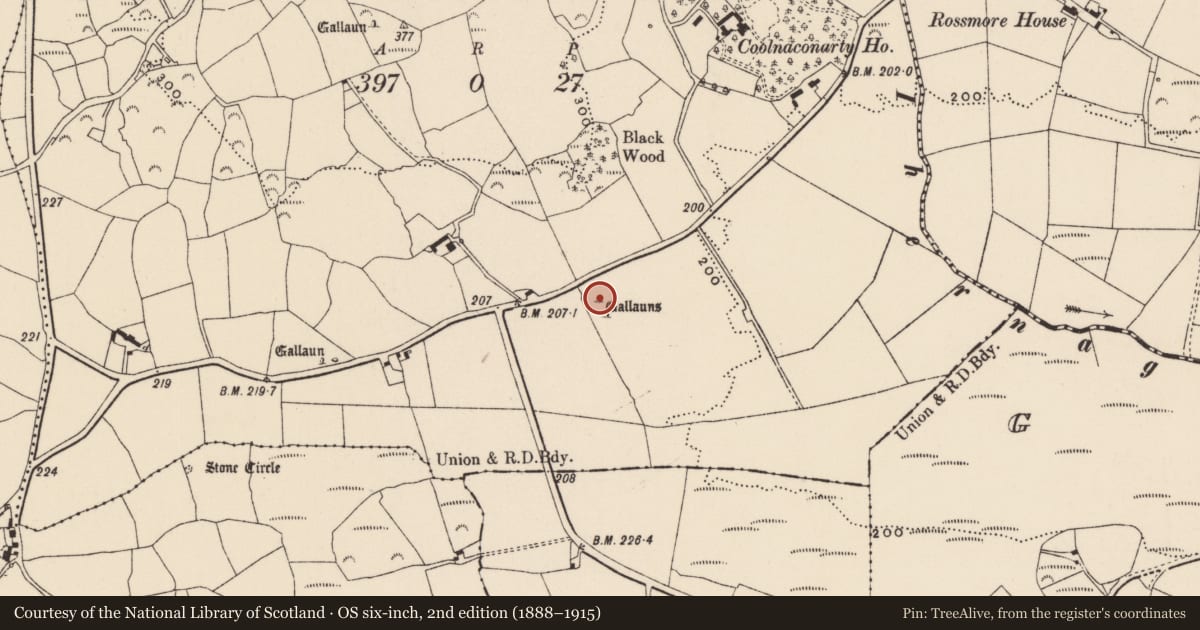 Ordnance Survey six-inch map, 2nd edition (1888–1915) covering the location of Standing stone, Coolnaconarty (Carbery E. (W.D.) By., Kilmeen Par.), County Cork, with a pin at the register's coordinates