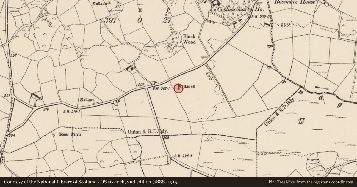 Ordnance Survey six-inch map, 2nd edition (1888–1915) covering the location of Standing stone, Coolnaconarty (Carbery E. (W.D.) By., Kilmeen Par.), County Cork, with a pin at the register's coordinates