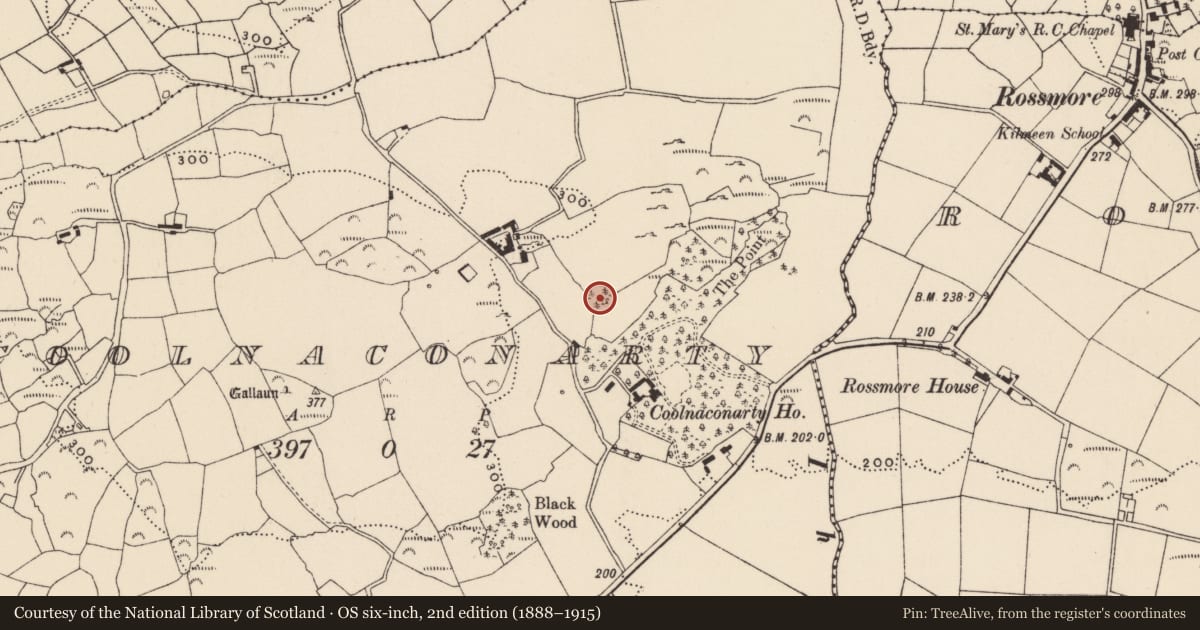 Ordnance Survey six-inch map, 2nd edition (1888–1915) covering the location of Designed landscape - tree-ring, Coolnaconarty (Carbery E. (W.D.) By., Kilmeen Par.), County Cork, with a pin at the register's coordinates