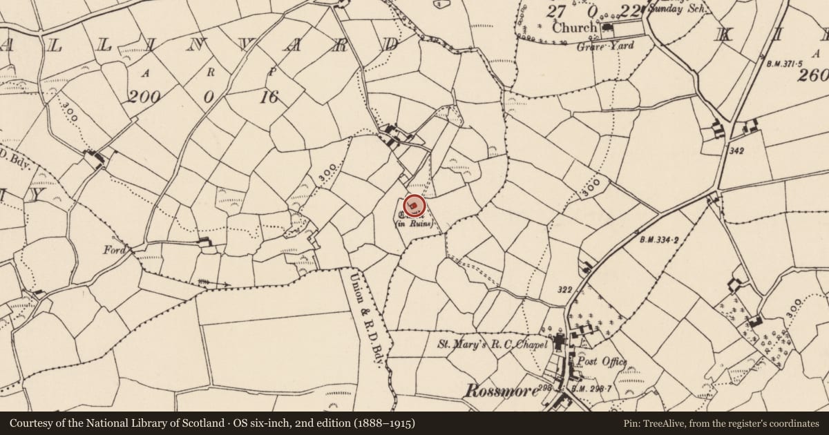 Ordnance Survey six-inch map, 2nd edition (1888–1915) covering the location of Castle - tower house, Ballinvard, County Cork, with a pin at the register's coordinates