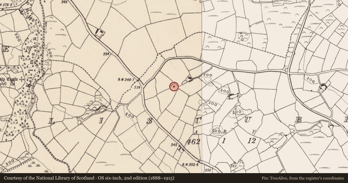 Ordnance Survey six-inch map, 2nd edition (1888–1915) covering the location of Ringfort - rath, Liscubba, County Cork, with a pin at the register's coordinates