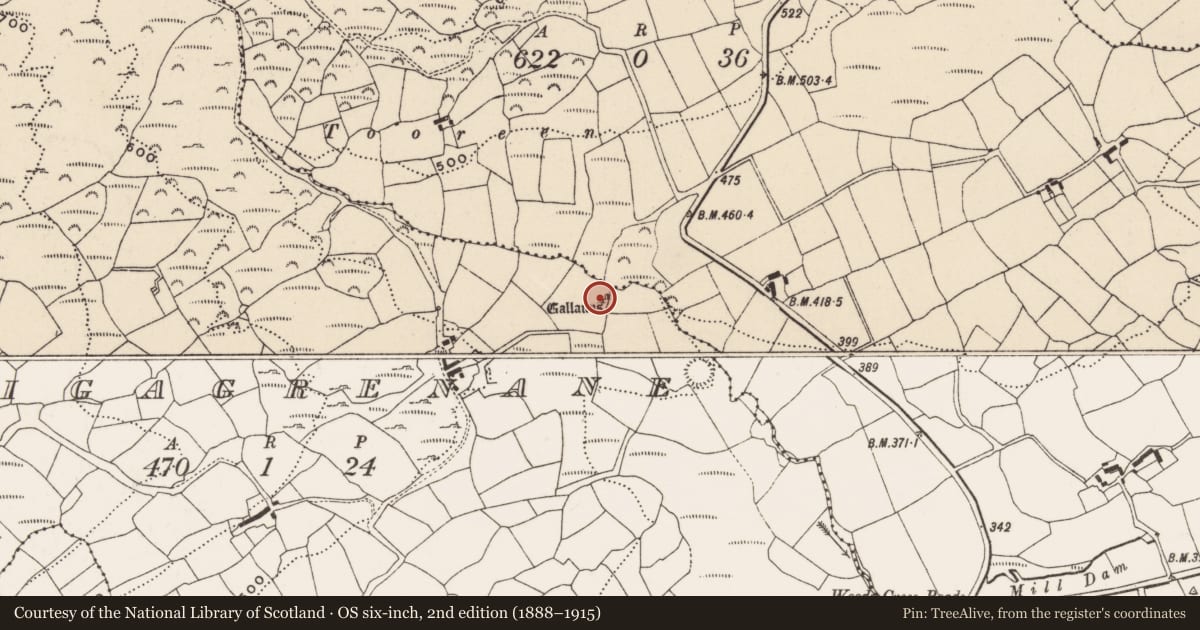 Ordnance Survey six-inch map, 2nd edition (1888–1915) covering the location of Stone circle - five-stone, Carrigagrenane, County Cork, with a pin at the register's coordinates