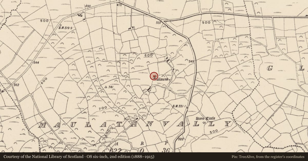 Ordnance Survey six-inch map, 2nd edition (1888–1915) covering the location of Anomalous stone group, Maulatanvally, County Cork, with a pin at the register's coordinates