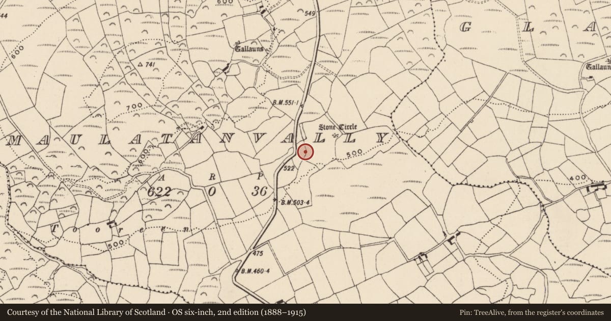 Ordnance Survey six-inch map, 2nd edition (1888–1915) covering the location of Fulacht fia, Maulatanvally, County Cork, with a pin at the register's coordinates