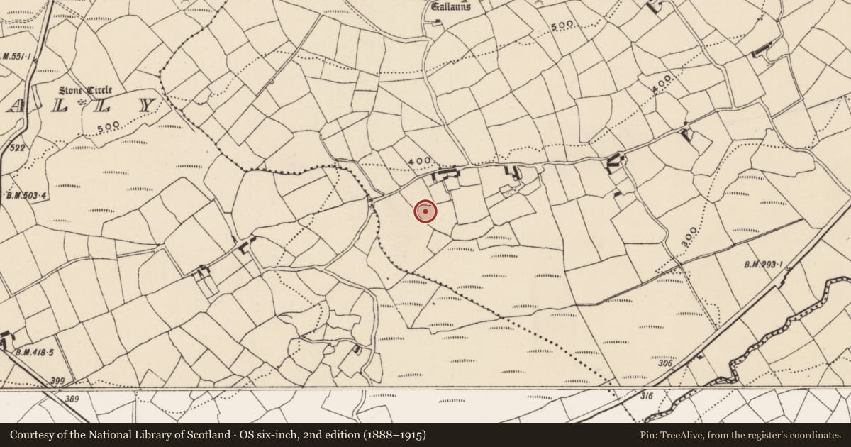 Ordnance Survey six-inch map, 2nd edition (1888–1915) covering the location of Ringfort - rath, Glanbrack, County Cork, with a pin at the register's coordinates