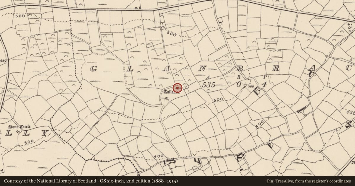 Ordnance Survey six-inch map, 2nd edition (1888–1915) covering the location of Standing stone - pair, Glanbrack, County Cork, with a pin at the register's coordinates
