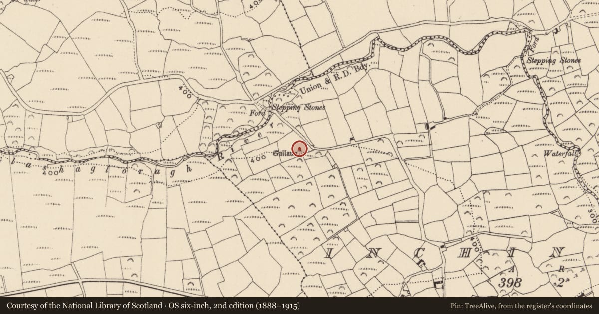 Ordnance Survey six-inch map, 2nd edition (1888–1915) covering the location of Standing stone, Inchinattin, County Cork, with a pin at the register's coordinates