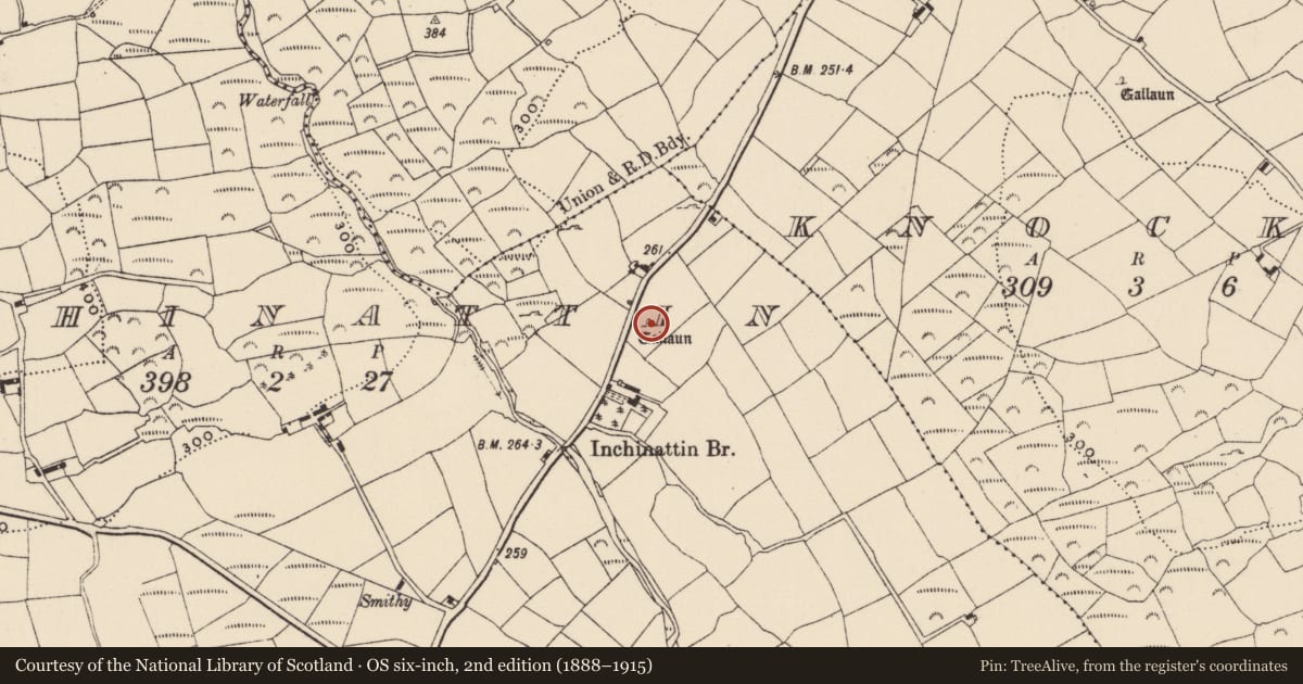 Ordnance Survey six-inch map, 2nd edition (1888–1915) covering the location of Standing stone, Inchinattin, County Cork, with a pin at the register's coordinates