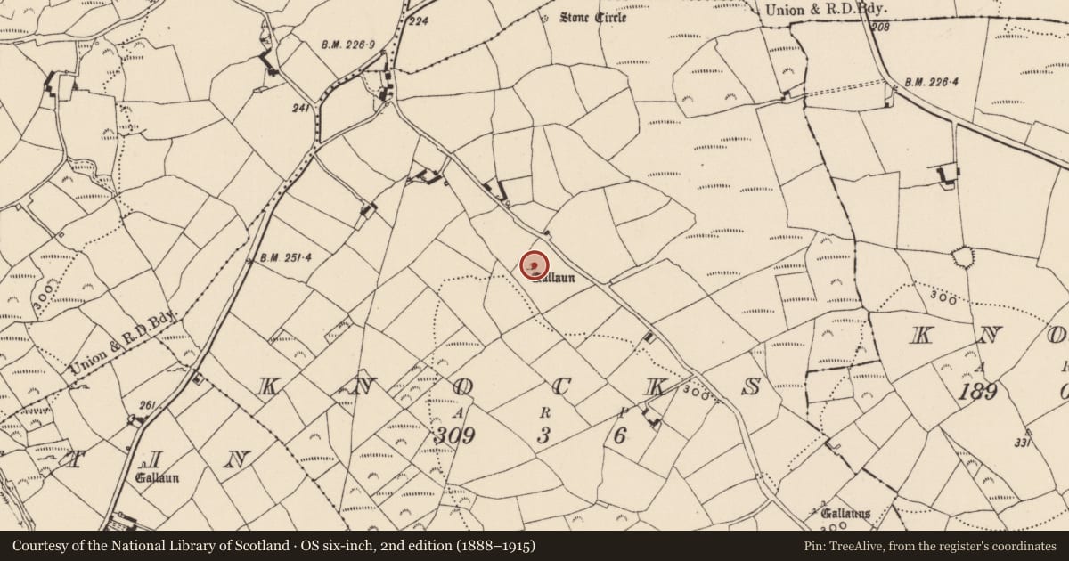 Ordnance Survey six-inch map, 2nd edition (1888–1915) covering the location of Standing stone, Knocks, County Cork, with a pin at the register's coordinates