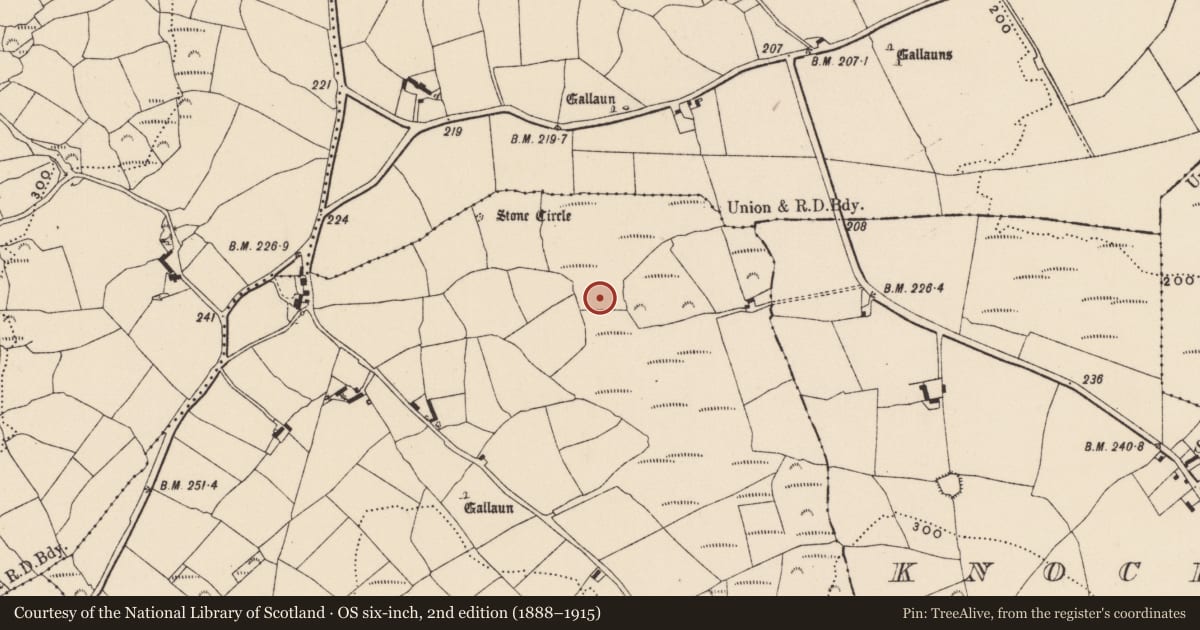 Ordnance Survey six-inch map, 2nd edition (1888–1915) covering the location of Fulacht fia, Knocks, County Cork, with a pin at the register's coordinates
