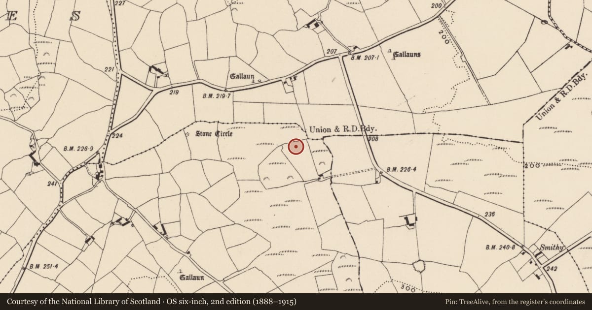 Ordnance Survey six-inch map, 2nd edition (1888–1915) covering the location of Fulacht fia, Knocks, County Cork, with a pin at the register's coordinates
