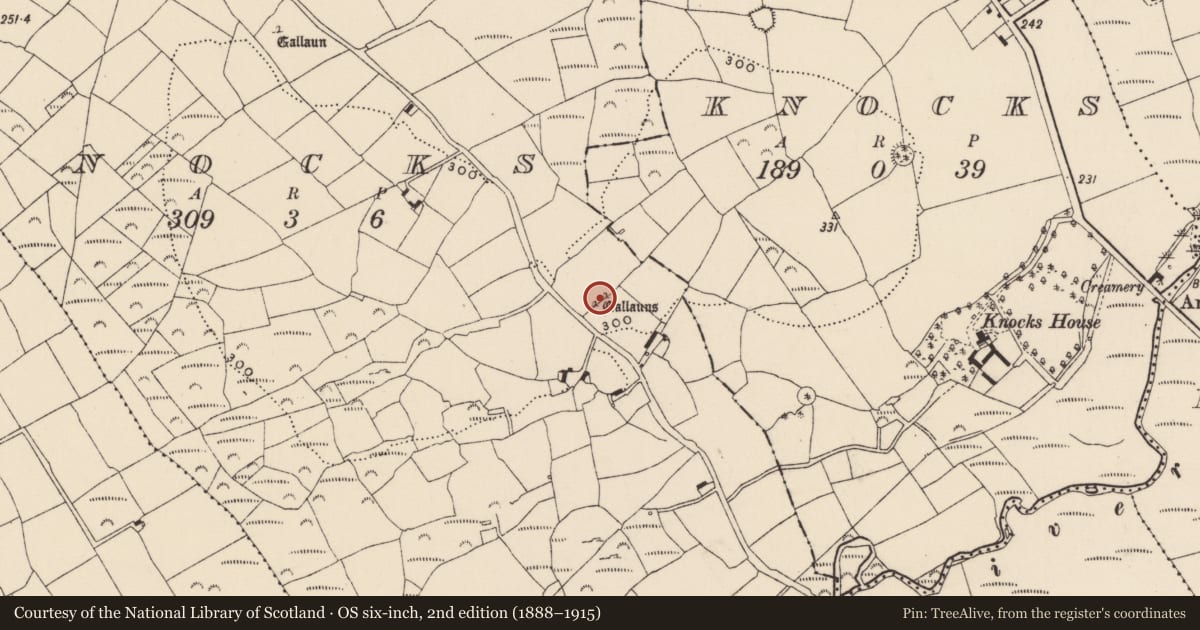 Ordnance Survey six-inch map, 2nd edition (1888–1915) covering the location of Standing stone - pair, Knocks, County Cork, with a pin at the register's coordinates