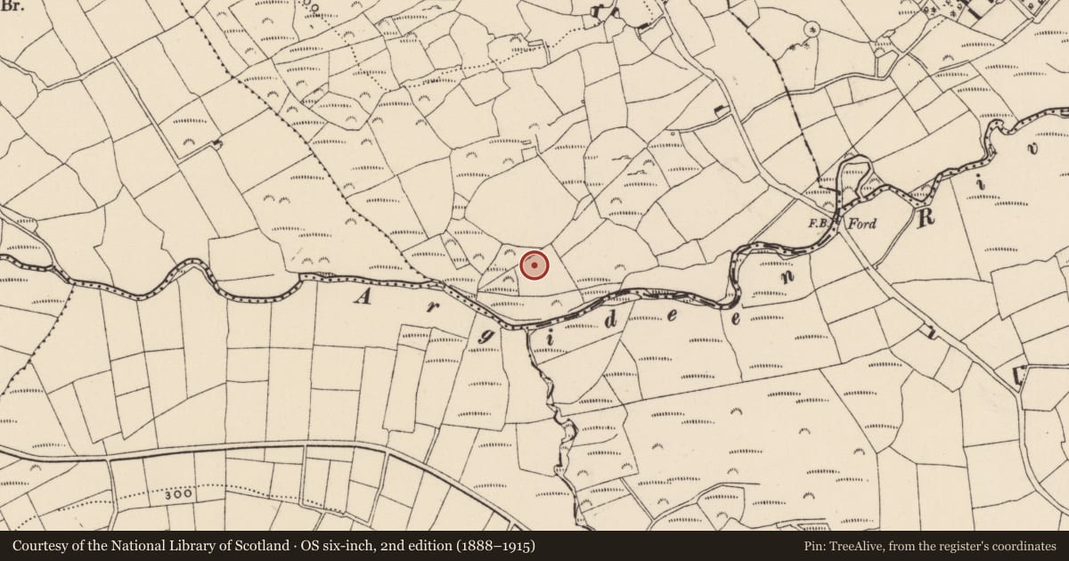 Ordnance Survey six-inch map, 2nd edition (1888–1915) covering the location of Stone circle - multiple-stone, Knocks, County Cork, with a pin at the register's coordinates