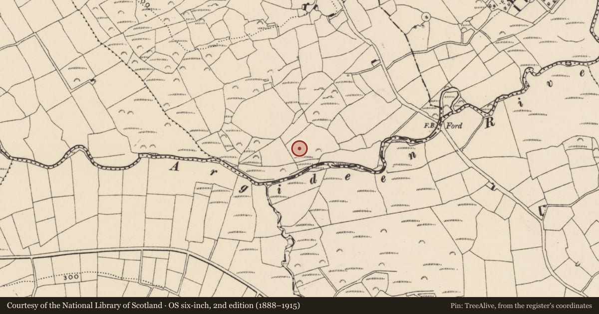 Ordnance Survey six-inch map, 2nd edition (1888–1915) covering the location of Standing stone, Knocks, County Cork, with a pin at the register's coordinates