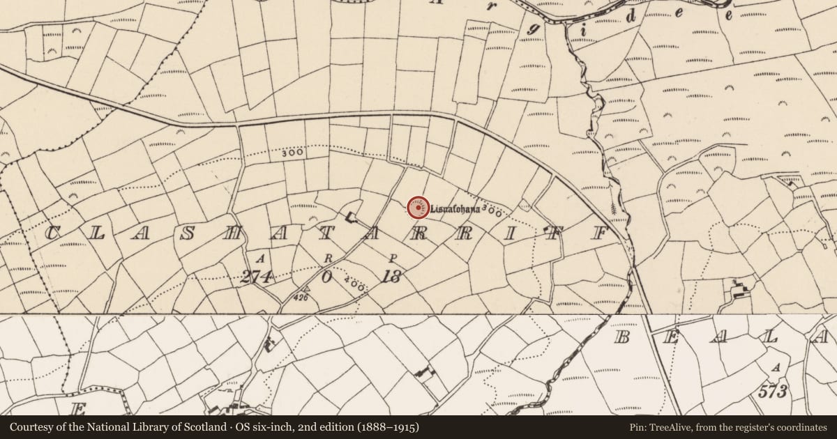 Ordnance Survey six-inch map, 2nd edition (1888–1915) covering the location of Ringfort - rath, Clashatarriff, County Cork, with a pin at the register's coordinates