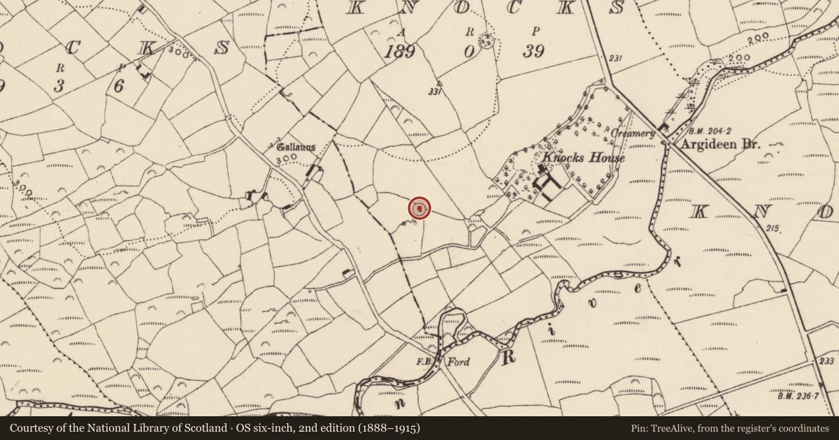 Ordnance Survey six-inch map, 2nd edition (1888–1915) covering the location of Ringfort - rath, Knocks, County Cork, with a pin at the register's coordinates