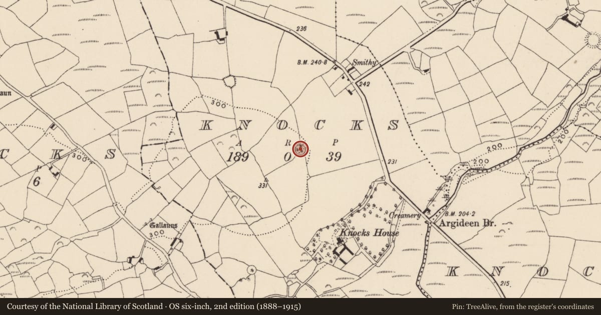 Ordnance Survey six-inch map, 2nd edition (1888–1915) covering the location of Ringfort - rath, Knocks, County Cork, with a pin at the register's coordinates