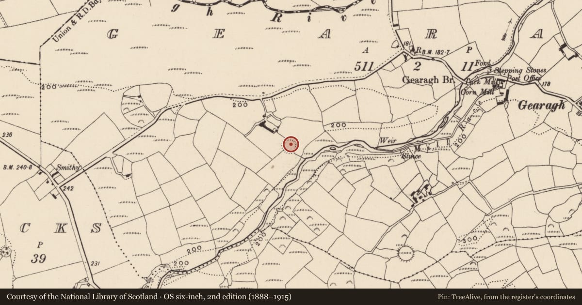 Ordnance Survey six-inch map, 2nd edition (1888–1915) covering the location of Ringfort - rath, Gearagh, County Cork, with a pin at the register's coordinates