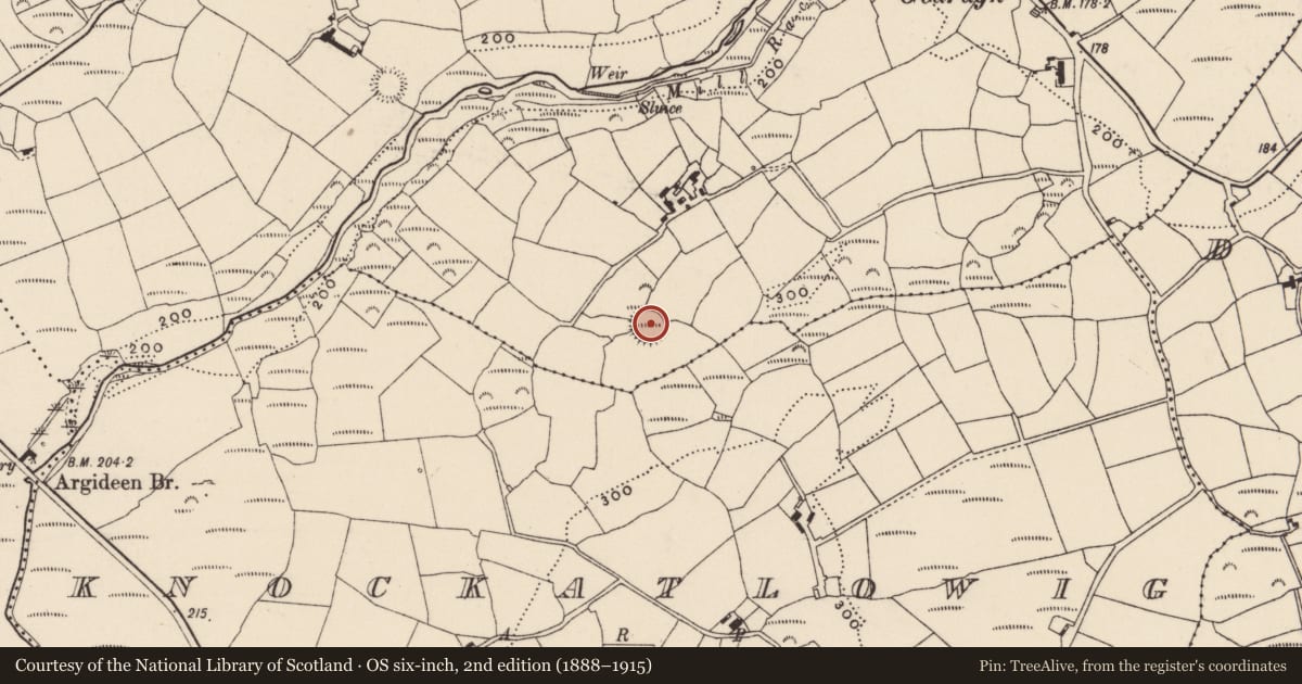 Ordnance Survey six-inch map, 2nd edition (1888–1915) covering the location of Ringfort - rath, Gearagh, County Cork, with a pin at the register's coordinates