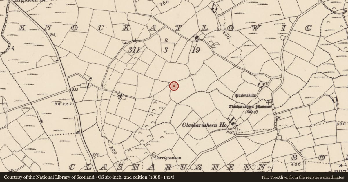 Ordnance Survey six-inch map, 2nd edition (1888–1915) covering the location of Stone row, Knockatlowig, County Cork, with a pin at the register's coordinates