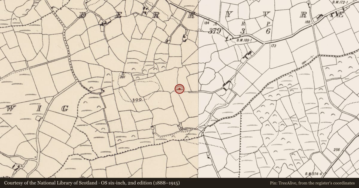 Ordnance Survey six-inch map, 2nd edition (1888–1915) covering the location of Ringfort - rath, Derryvreen, County Cork, with a pin at the register's coordinates