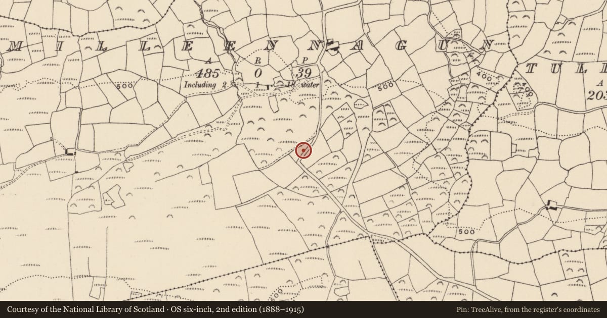 Ordnance Survey six-inch map, 2nd edition (1888–1915) covering the location of Cupmarked stone, Milleennagun, County Cork, with a pin at the register's coordinates