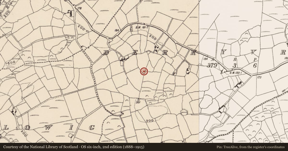 Ordnance Survey six-inch map, 2nd edition (1888–1915) covering the location of Ringfort - rath, Derryvreen, County Cork, with a pin at the register's coordinates
