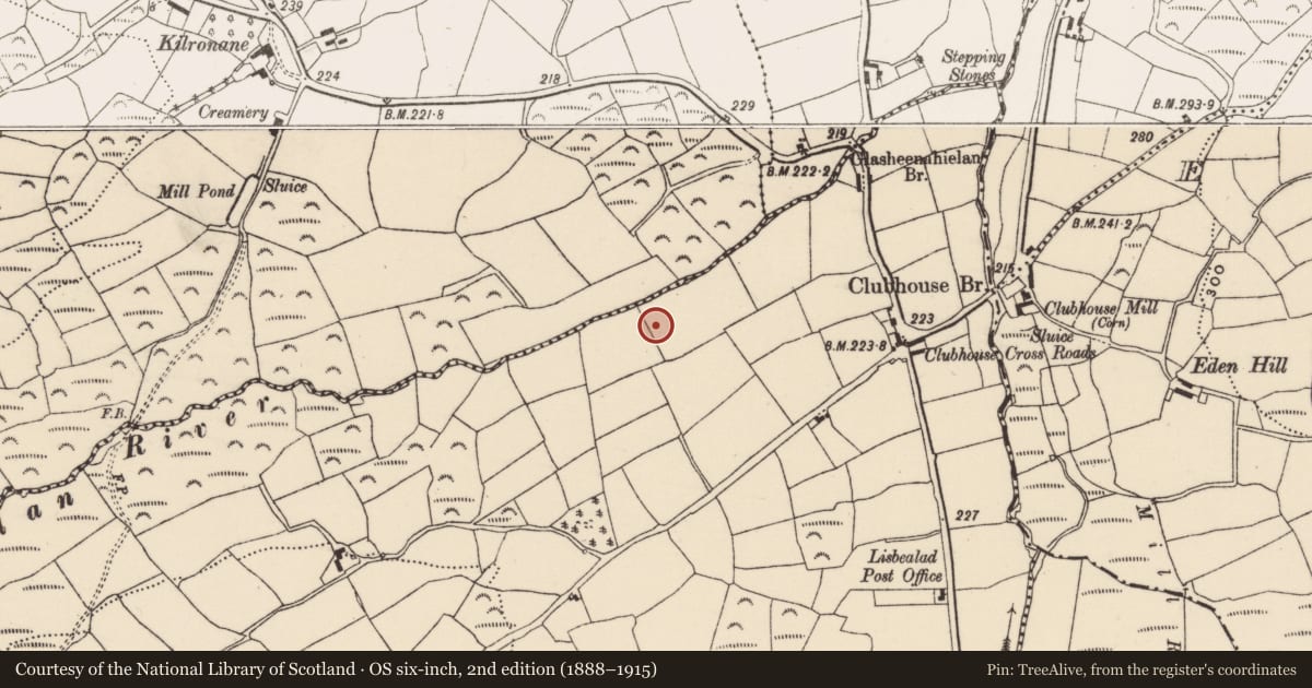 Ordnance Survey six-inch map, 2nd edition (1888–1915) covering the location of Fulacht fia, Lisbealad East, County Cork, with a pin at the register's coordinates