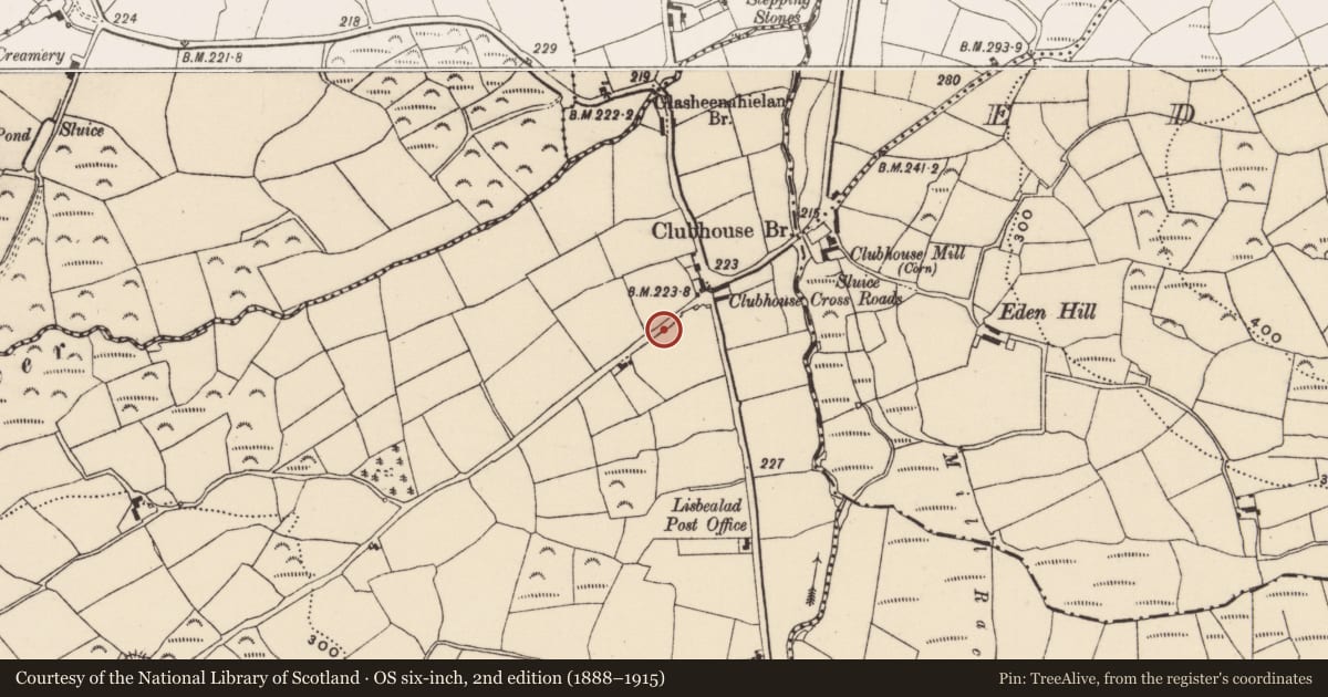 Ordnance Survey six-inch map, 2nd edition (1888–1915) covering the location of Fulacht fia, Lisbealad East, County Cork, with a pin at the register's coordinates