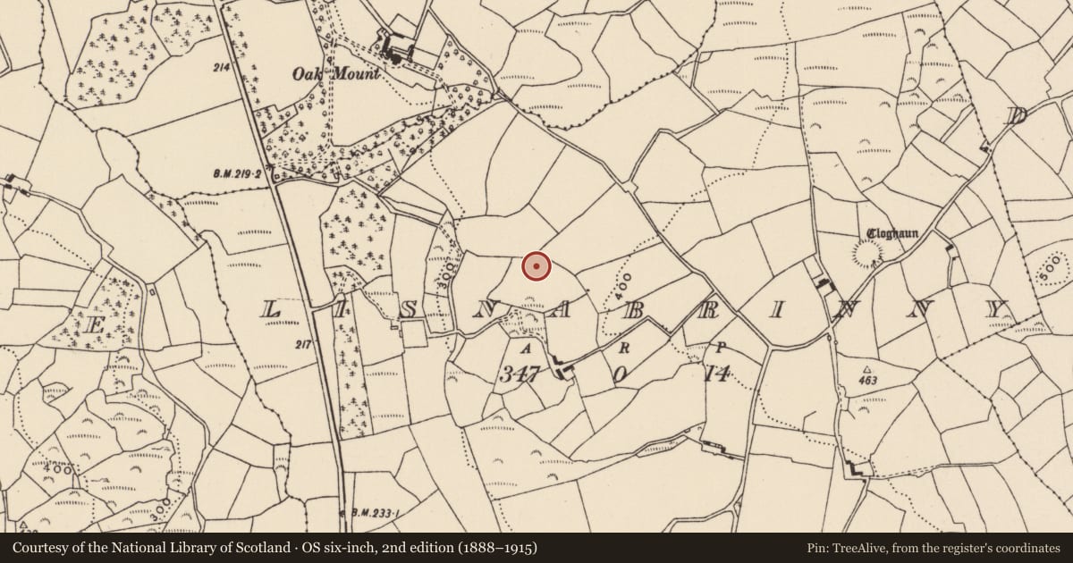 Ordnance Survey six-inch map, 2nd edition (1888–1915) covering the location of Souterrain, Lisnabrinny, County Cork, with a pin at the register's coordinates