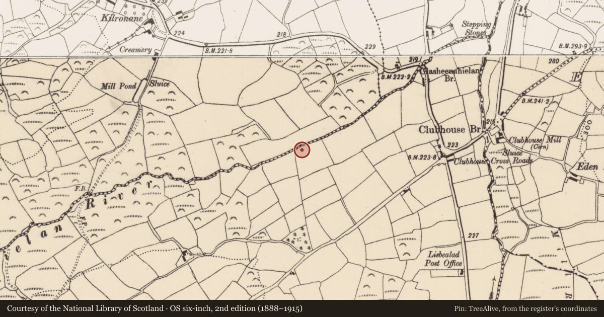 Ordnance Survey six-inch map, 2nd edition (1888–1915) covering the location of Fulacht fia, Lisbealad East, County Cork, with a pin at the register's coordinates