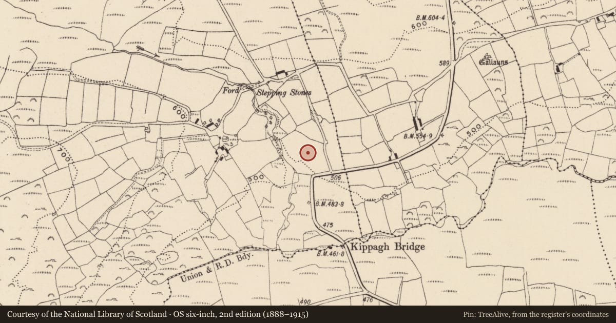 Ordnance Survey six-inch map, 2nd edition (1888–1915) covering the location of Fulacht fia, Kippagh, County Cork, with a pin at the register's coordinates