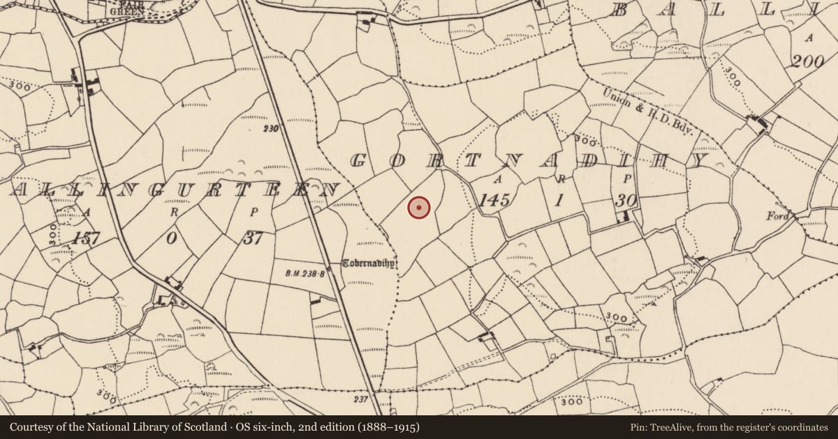 Ordnance Survey six-inch map, 2nd edition (1888–1915) covering the location of Enclosure, Gortnadihy, County Cork, with a pin at the register's coordinates