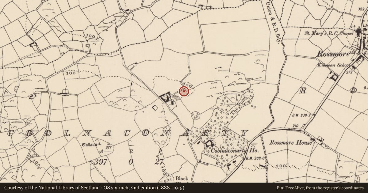 Ordnance Survey six-inch map, 2nd edition (1888–1915) covering the location of Corn stand, Coolnaconarty (Carbery E. (W.D.) By., Kilmeen Par.), County Cork, with a pin at the register's coordinates