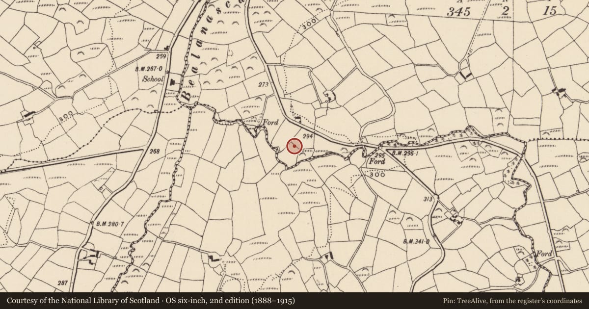 Ordnance Survey six-inch map, 2nd edition (1888–1915) covering the location of Enclosure, Knockane, County Cork, with a pin at the register's coordinates