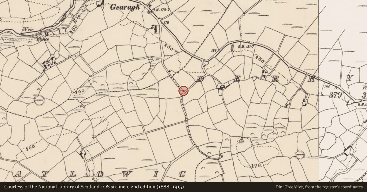Ordnance Survey six-inch map, 2nd edition (1888–1915) covering the location of Children's burial ground, Derryvreen, County Cork, with a pin at the register's coordinates