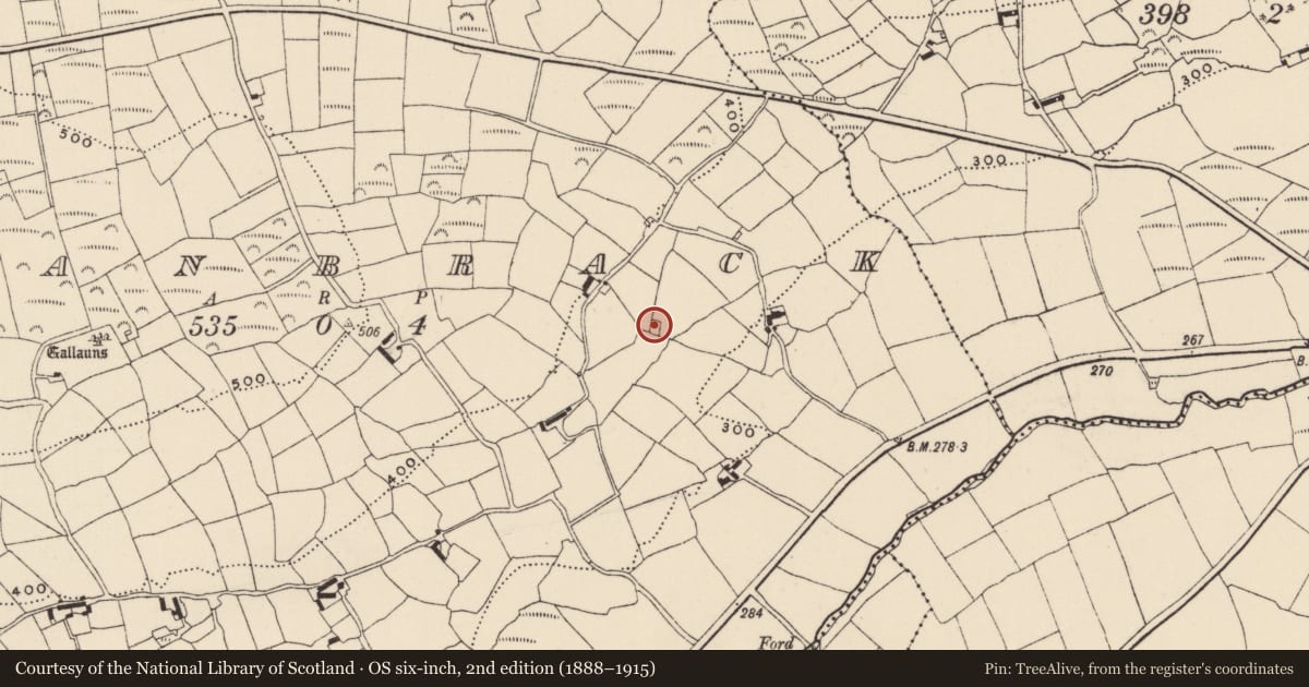 Ordnance Survey six-inch map, 2nd edition (1888–1915) covering the location of Moated site, Glanbrack, County Cork, with a pin at the register's coordinates