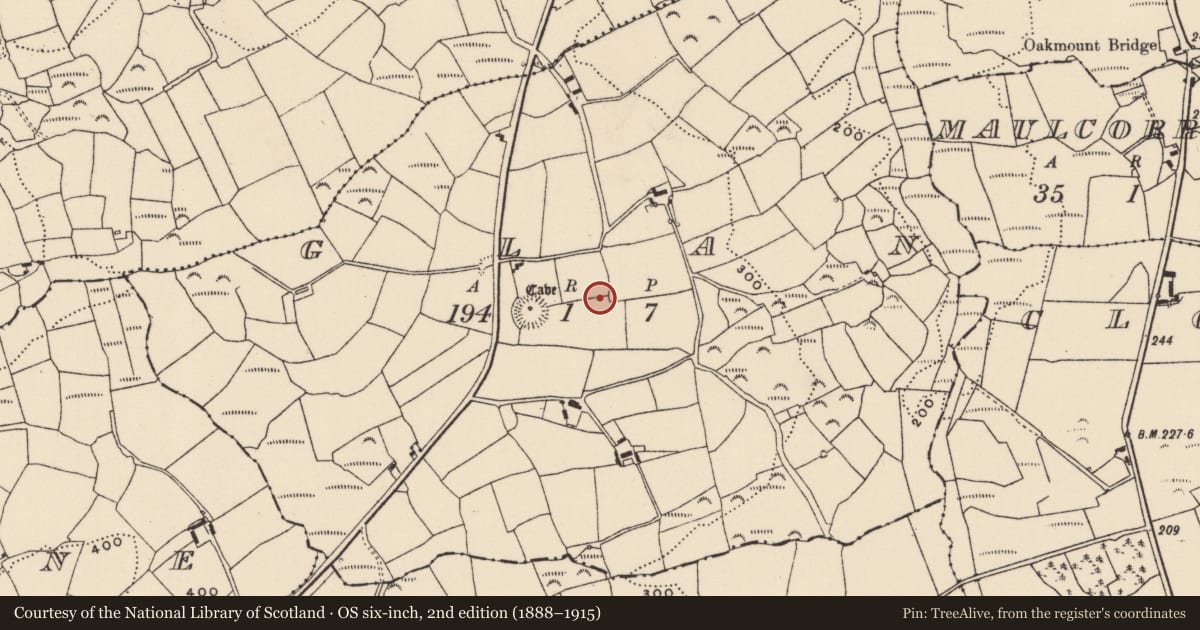 Ordnance Survey six-inch map, 2nd edition (1888–1915) covering the location of Souterrain, Glan, County Cork, with a pin at the register's coordinates