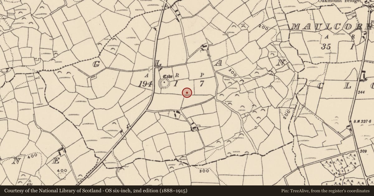 Ordnance Survey six-inch map, 2nd edition (1888–1915) covering the location of Standing stone, Glan, County Cork, with a pin at the register's coordinates