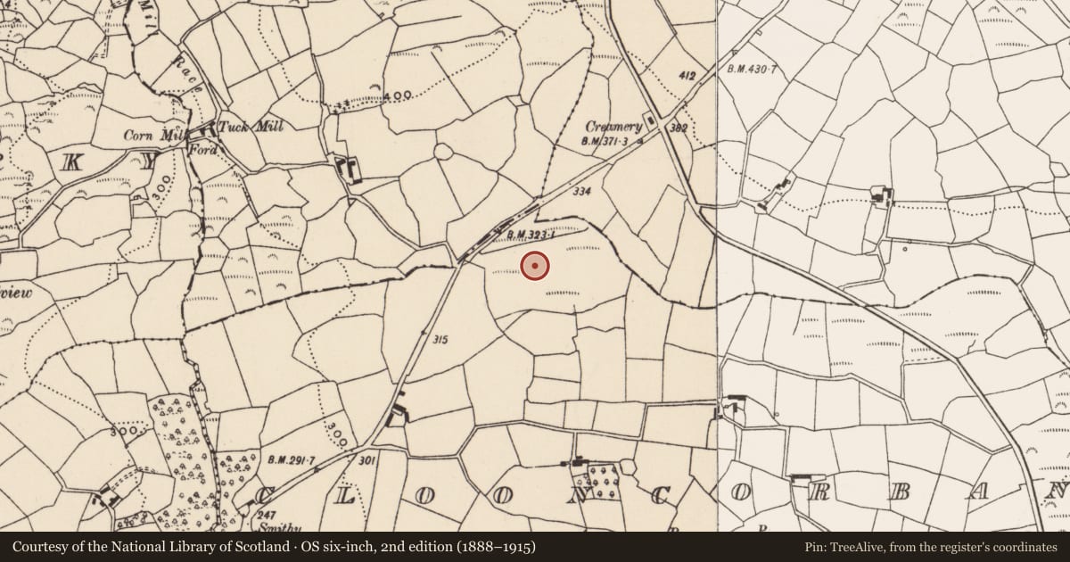 Ordnance Survey six-inch map, 2nd edition (1888–1915) covering the location of Burnt mound, Clooncorban, County Cork, with a pin at the register's coordinates